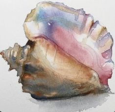 a watercolor painting of a seashell