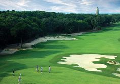 several people playing golf on a green course