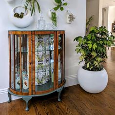 a glass cabinet with plants in it next to a potted plant