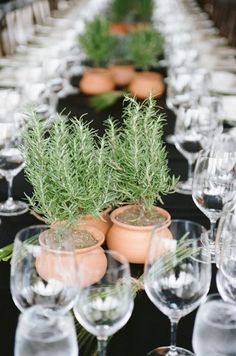 a long table is set with wine glasses and potted plants on top of them