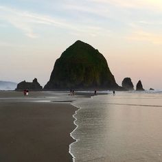 some people are walking on the beach and one is carrying a surfboard