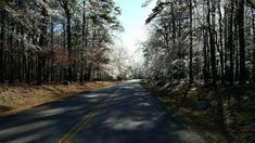 the road is lined with trees and snow