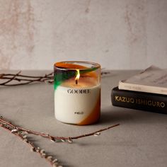 a candle sitting on top of a table next to a book and twigs