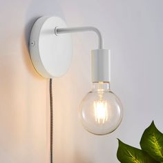 a light that is on the wall next to a plant