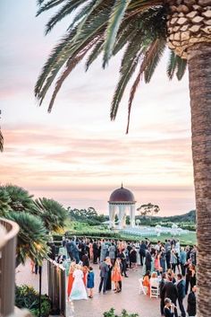 a group of people standing on top of a lush green field next to palm trees