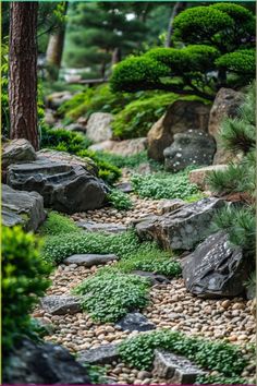 a garden with rocks, grass and trees