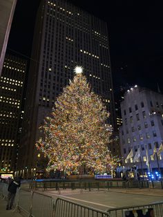 a large christmas tree is lit up in the city