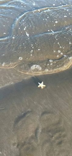 an airplane is flying low over the water and sand at the beach, looking down on it