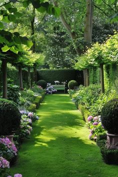 a lush green garden filled with lots of flowers