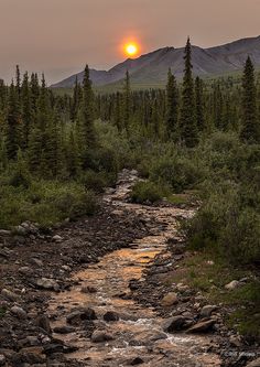 the sun is setting in the distance over a mountain stream with rocks and trees on both sides