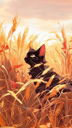 a black cat sitting in the middle of tall grass