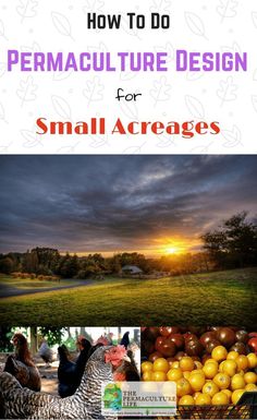 the cover of how to do permaculture design for small acreages