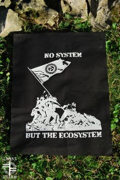 a black and white flag laying on top of grass next to some rocks with the words, no system but the ecosytem