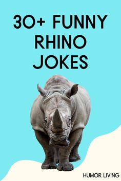 a rhino standing in front of a blue background with the words 30 + funny rhino jokes