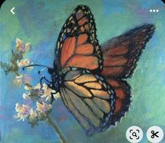 Butterfly Art Painting, Arte Peculiar, Butterfly Drawing, Butterfly Painting, Arte Inspo, Mini Canvas Art, Painting Art Projects, Pastel Art, Butterfly Art