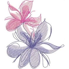 a pink and purple flower on a white background