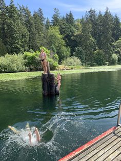 some people are swimming in the water and one person is jumping off a dock into the water