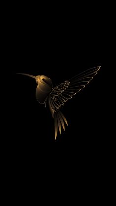 a bird flying in the dark with its wings spread