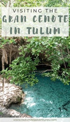 the blue pool with text overlay saying visiting the gran genote in tulum