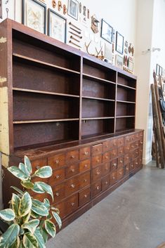 a large wooden bookcase sitting next to a plant in a room with pictures on the wall