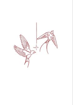 two hummingbirds flying next to each other on a white background, one is red and the other is black