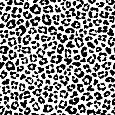 Leopard Skin Fabric - Black/White - ineedfabric.com Leopard Print Svg, Black And White Leopard, White Leopard Print, Leopard Skin, Black And White Fabric, White Leopard, Digital Print Fabric, Cricut Svg, Textile Prints