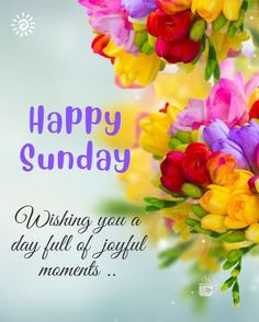 a bouquet of flowers with the words happy sunday wishing you a day full of joy and moments