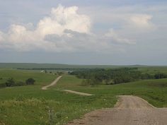 a dirt road in the middle of an open field