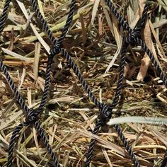 a close up view of some grass and rope