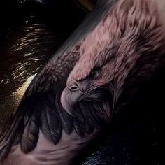 an eagle tattoo on the arm and leg