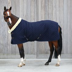 a brown horse wearing a blue blanket standing next to a wooden fence with other horses in the background