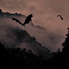 two bats flying in the sky above some trees and mountains at sunset with clouds behind them