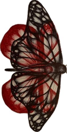 a red and white butterfly with black wings