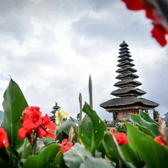 an image of a temple with red flowers in the foreground