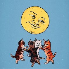 three cats playing with each other in front of the moon