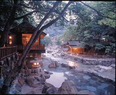 a river running through a lush green forest next to wooden buildings with lit up windows