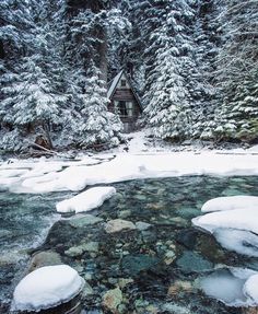 a small cabin sits on the shore of a river surrounded by snow covered trees