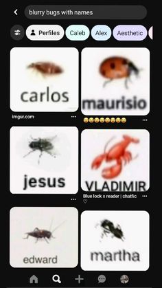 an iphone screen showing different types of bugs