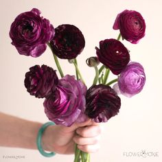 a person holding a bunch of purple flowers in their hand with the stems still attached