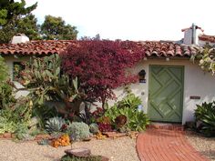 a house with many plants and trees in the front yard, including succulents