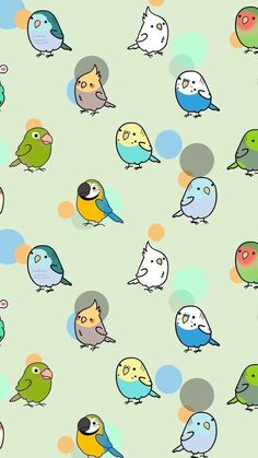 many birds are sitting together on a green and blue background with bubbles in the air