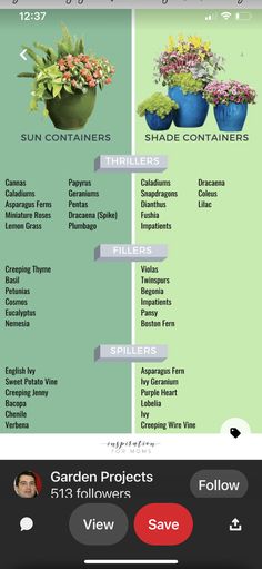 an iphone screen showing the different types of flowers and plants in each potted planter
