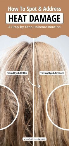 Recovery Routine, Heat Damaged Hair, Hair Color Guide, Dry Hair Care, Hair Maintenance Tips, Haircare Routine, Damage Hair, Best Hair Care Products