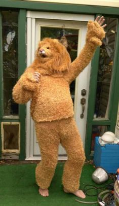 a man dressed as a bear standing in front of a door with his hands up