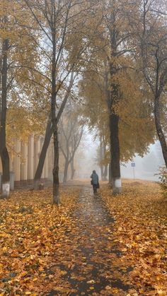 a person walking down a leaf covered path in the foggy park with trees and columns