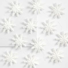 white snowflakes are arranged on the wall