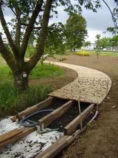 a wooden boat sitting on top of a dirt field next to a tree with lots of leaves