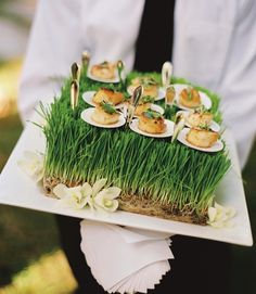 a person holding a plate with food on it and grass growing out of the top