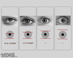 four different types of eyes are shown in this graphic art printable poster, which depicts the various parts of the human eye