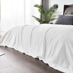 a bed with white comforter and pillows in a room next to a plant on the floor